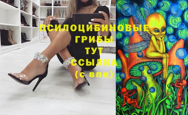 меф Алексин