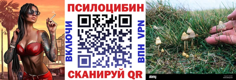 Псилоцибиновые грибы Cubensis blacksprut сайт Дегтярск